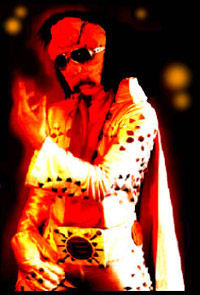 Ellyvis - from www.gawkagogo.com
